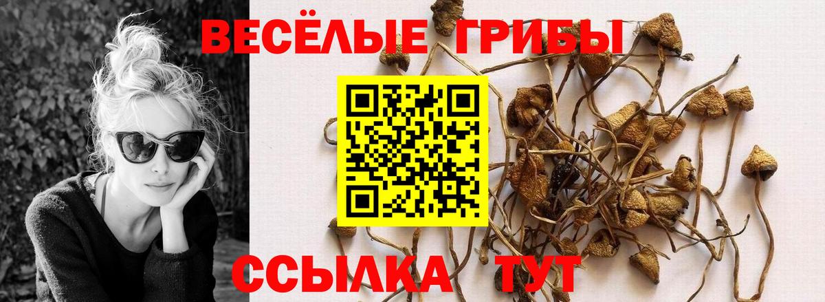 Галлюциногенные грибы GOLDEN TEACHER Аша