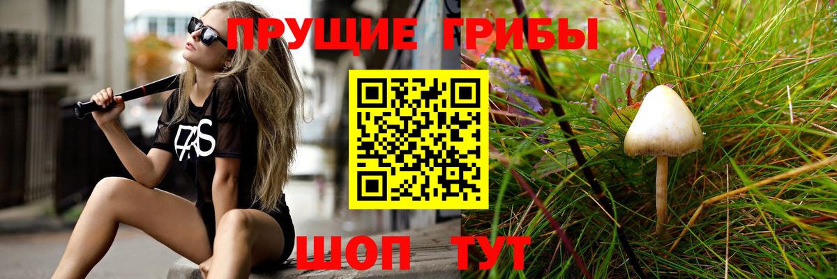 Галлюциногенные грибы Psilocybe  купить   Аша  Вход с VPN 